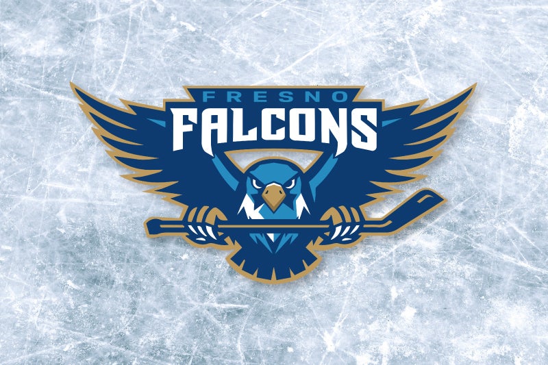 Falcons logo